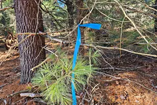 Parcel O Tatanka Trail, Baldwin, MI 49304 - Photo 1