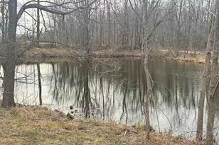 12441 Town Rd, Parma, MI 49269 - Photo 24