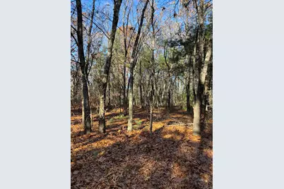 8310 S Thornapple Avenue, Newaygo, MI 49337 - Photo 12