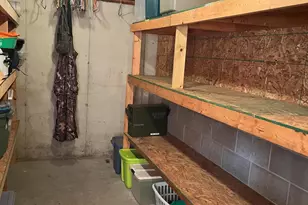 1461 Tasha Dr, Edmore, MI 48829 - Photo 24