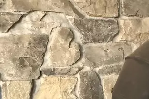 4869 N Cleveland St, Fountain, MI 49410 - Photo 14