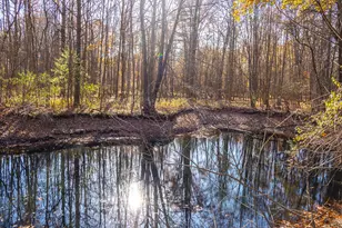 11760 Landon Rd, Baroda, MI 49101 - Photo 28