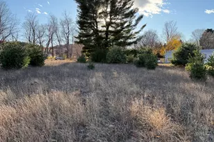 001 Ninth St, Bear Lake, MI 49614 - Photo 1