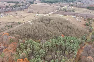 4669 155th Ave, Hersey, MI 49639 - Photo 28