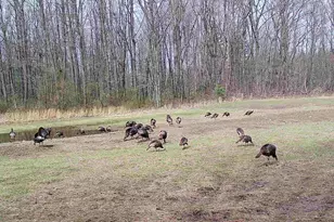 78720 Co Rd 376, Coloma, MI 49038 - Photo 74