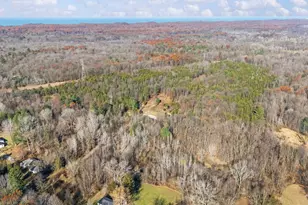 78720 Co Rd 376, Coloma, MI 49038 - Photo 54