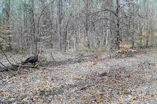 78720 Co Rd 376, Coloma, MI 49038 - Photo 78