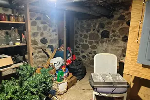 404 Ellen St, Union City, MI 49094 - Photo 28