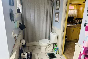 404 Ellen St, Union City, MI 49094 - Photo 8