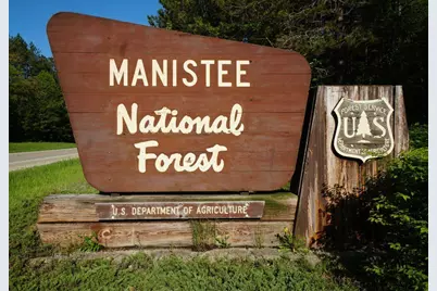 998 E Monroe Street, White Cloud, MI 49349 - Photo 4