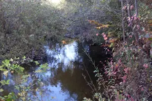 4107 E White River Dr, Hesperia, MI 49421 - Photo 4