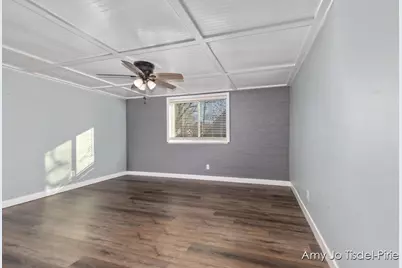 811 Branch Street, Ionia, MI 48846 - Photo 12