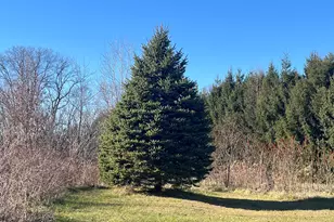 69312 Teter Trail, Cassopolis, MI 49031 - Photo 24