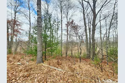 10544 N Lazy Lane, Bitely, MI 49309 - Photo 6