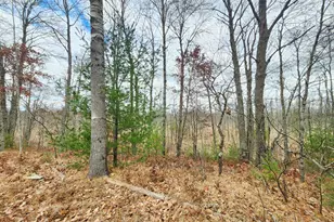 10544 N Lazy Ln, Bitely, MI 49309 - Photo 6