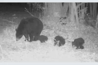 10544 N Lazy Lane, Bitely, MI 49309 - Photo 26