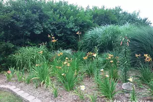 12675 Harder Rd, Three Rivers, MI 49093 - Photo 60