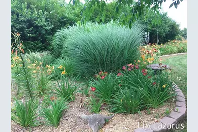 12675 Harder Road, Three Rivers, MI 49093 - Photo 54