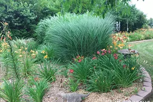 12675 Harder Rd, Three Rivers, MI 49093 - Photo 54