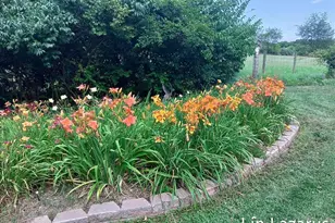 12675 Harder Rd, Three Rivers, MI 49093 - Photo 50