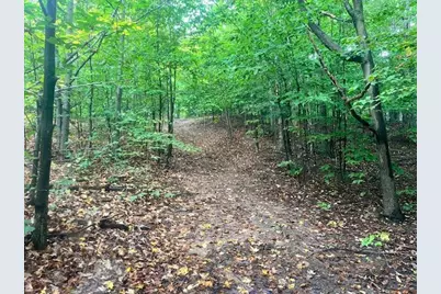 Vl55 Nine Mile Road, Kaleva, MI 49645 - Photo 8