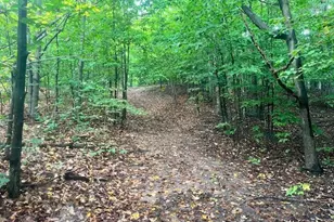 Vl55 Nine Mile Rd, Kaleva, MI 49645 - Photo 8