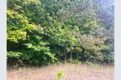 Vl55 Nine Mile Road, Kaleva, MI 49645 - Photo 36