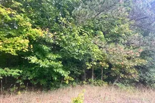 Vl55 Nine Mile Rd, Kaleva, MI 49645 - Photo 36