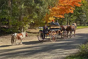 46 Camp Madron Rd, Buchanan, MI 49107 - Photo 48