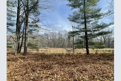 2430 Indian Trail, Evart, MI 49631 - Photo 50