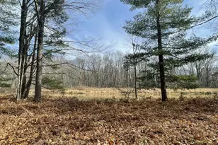 2430 Indian Trail, Evart, MI 49631 - Photo 50