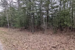 V/L 0 West Crooked Lake Rd, Lake City, MI 49651 - Photo 1