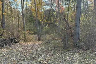 9807 N Maple Hill Rd, Howard City, MI 49329 - Photo 40