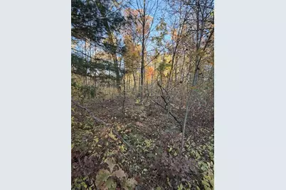 9807 N Maple Hill Road, Howard City, MI 49329 - Photo 42