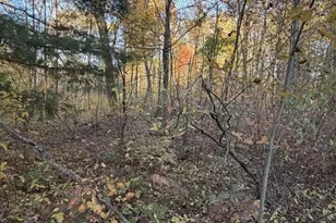 9807 N Maple Hill Rd, Howard City, MI 49329 - Photo 42