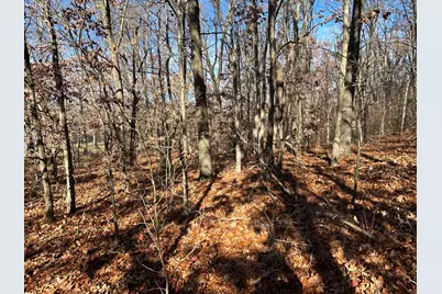 10699 Mystic Heights Trail, Mattawan, MI 49071 - Photo 8