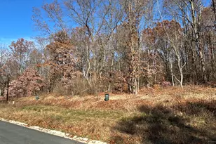 10699 Mystic Hts Trl, Mattawan, MI 49071 - Photo 2