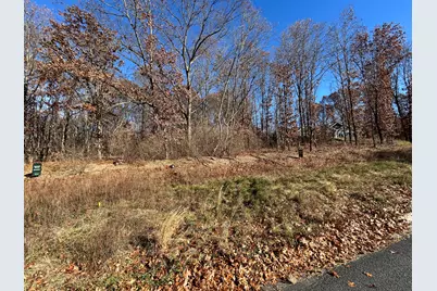 10711 Mystic Heights Trail, Mattawan, MI 49071 - Photo 6