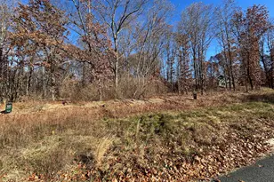 10711 Mystic Hts Trl, Mattawan, MI 49071 - Photo 6