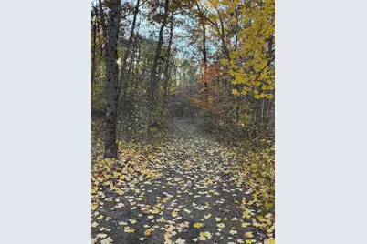 V/L Maple Hill Road #Parcel B, Howard City, MI 49329 - Photo 4