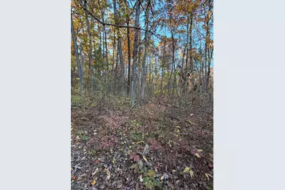 V/L Maple Hill Road #Parcel B, Howard City, MI 49329 - Photo 6