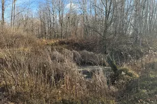 2233 E Marrison Rd, Custer, MI 49405 - Photo 22