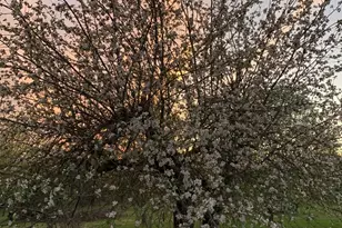 13625 Potter Rd, Bear Lake, MI 49614 - Photo 14