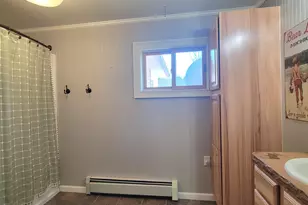 13625 Potter Rd, Bear Lake, MI 49614 - Photo 10