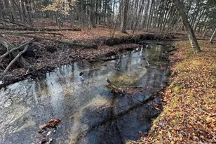 3893 E Yonker Rd, Hesperia, MI 49421 - Photo 24