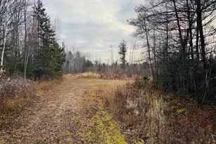 7104 M-117, Engadine, MI 49827 - Photo 20