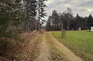 7104 M-117, Engadine, MI 49827 - Photo 18