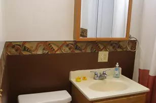 434 Ann St, Union City, MI 49094 - Photo 18