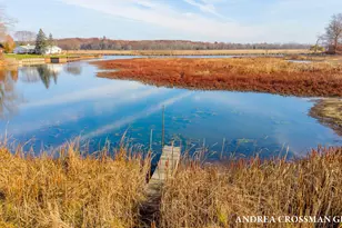 3001 Newport Dr, Fennville, MI 49408 - Photo 6