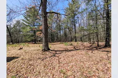 630 Ivy Lane, Marion, MI 49665 - Photo 4